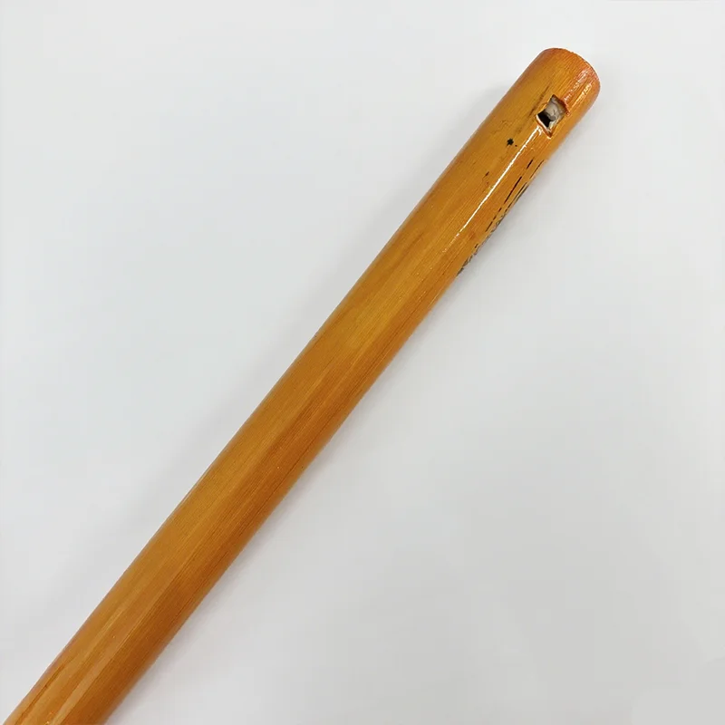Flauto di bambù con registrato - Musical Instrument Theremin recensione e prezzo