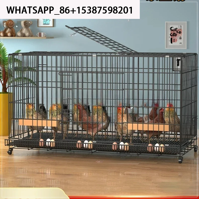 

Home, Indoor, Outdoor, Large And Oversized Laying Hens, , Chicken , Duck Coops