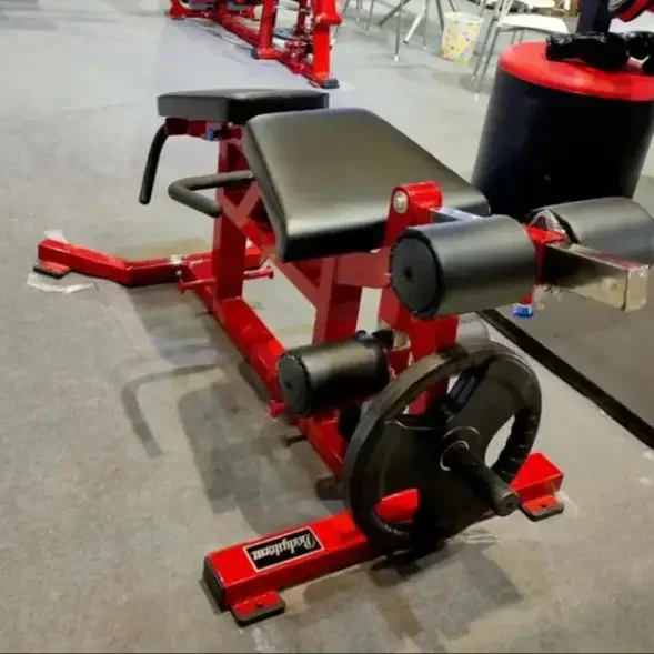Commercial Seated Leg Flexion & Extension Training Bench - Dumbbell Bench, Bird Bench, Strength Curl for Legs & Quadriceps