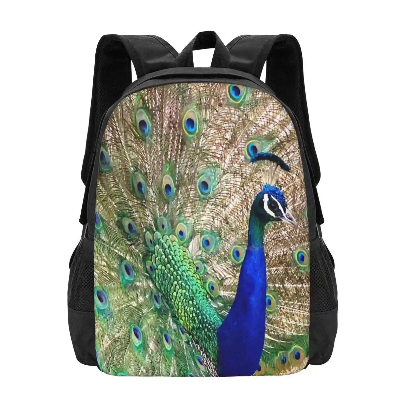 Dwayne der Pfau Muster Design Bagpack Schult aschen Pfau Natur Spaß bunt