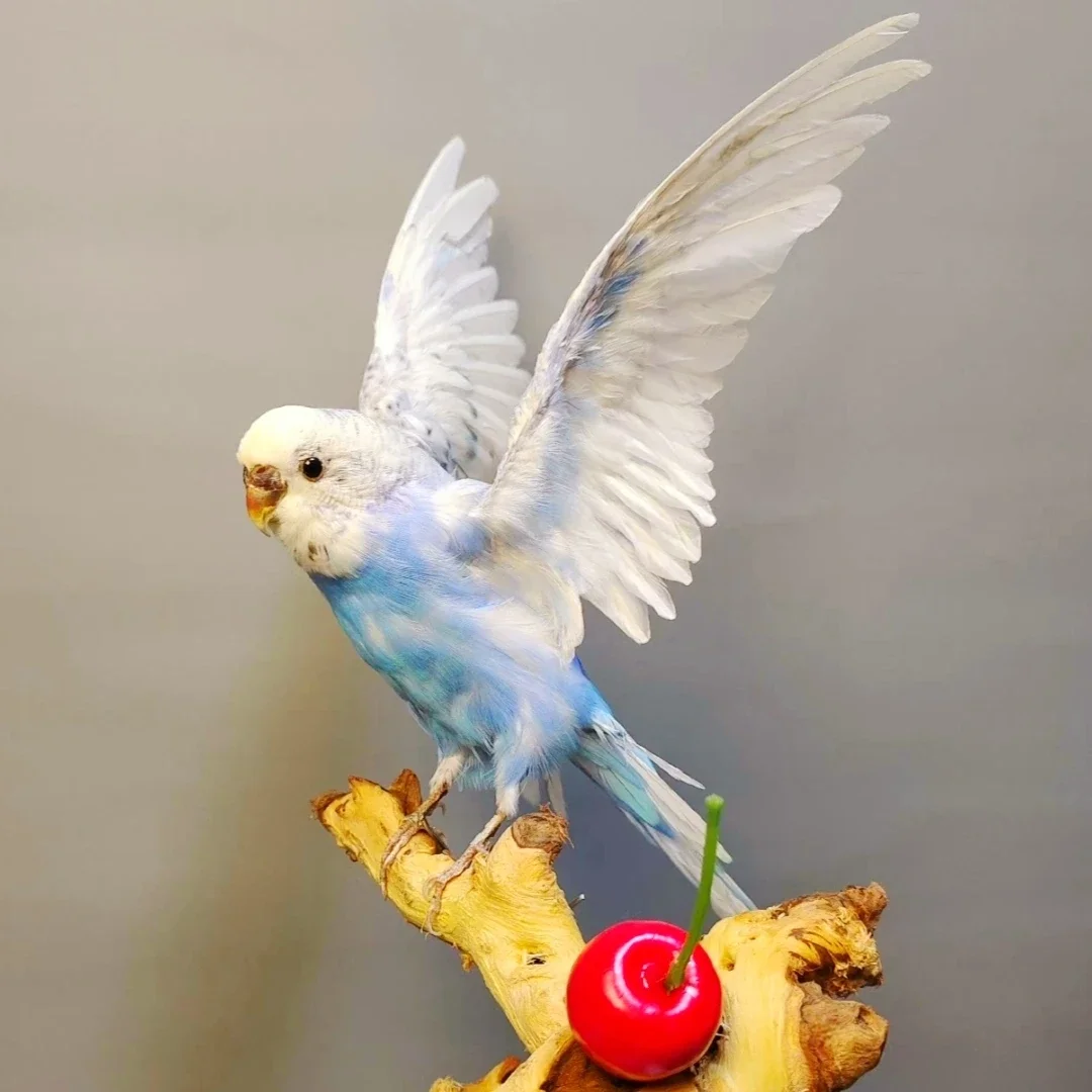 

2057 Flying Bird Handmade Art Collection Cherry and Bird Sculpture Specimen Decorative Ornament Creative Gift Room Decoration