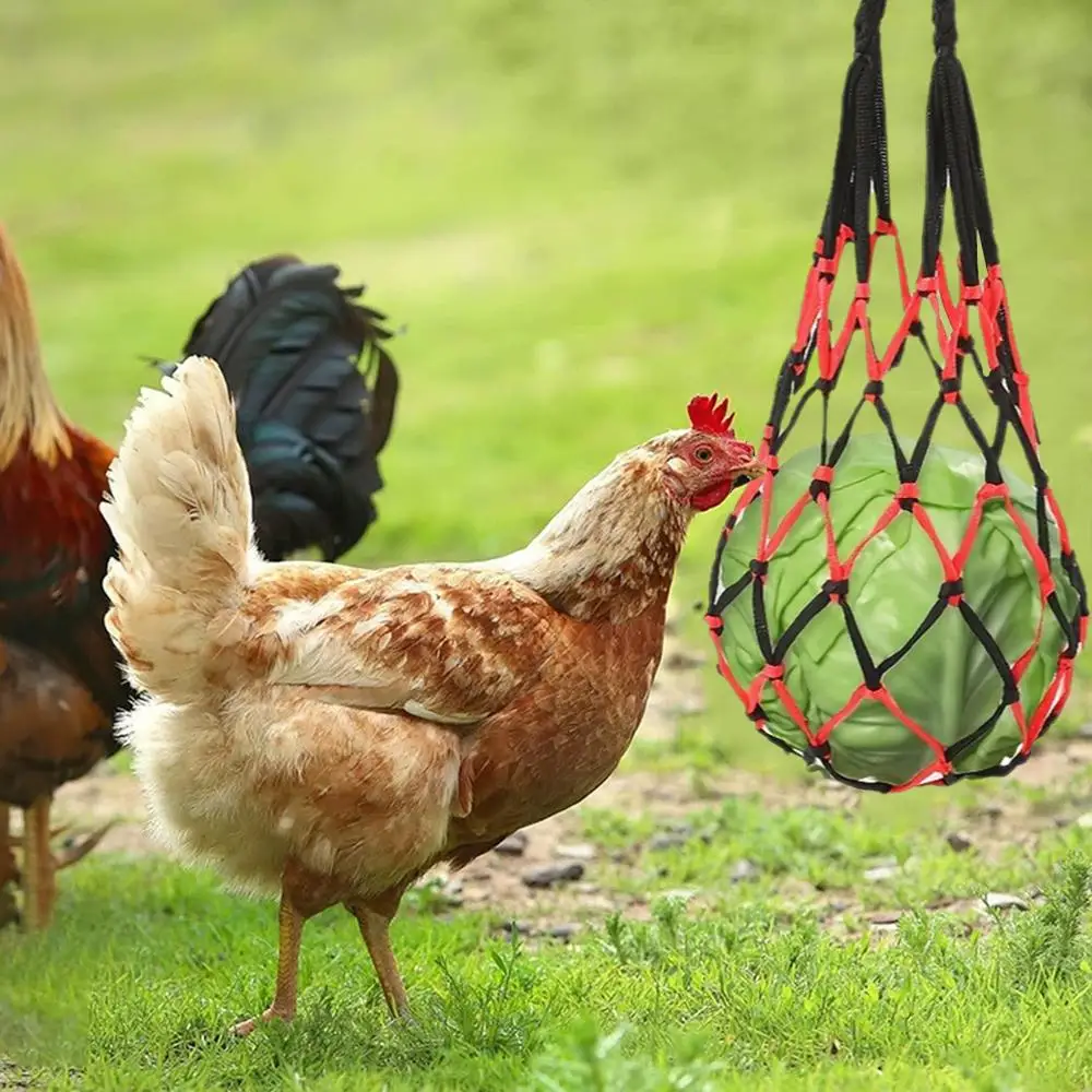Vibe Chicken Vegetable Net Bag Poultry Fruit Holder Chicken Cabbage Feeder Treat Feeding Tool for Hen GooseBHL1728-FRO