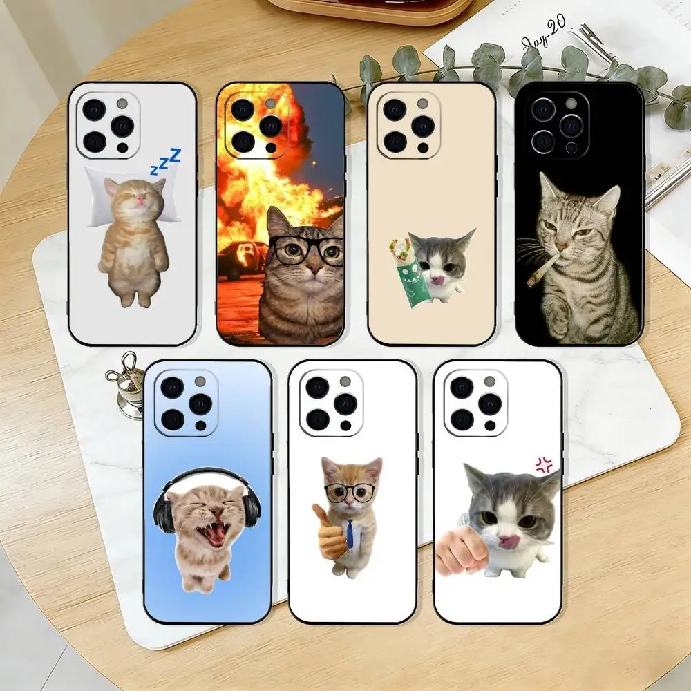 F-Funny C-Cute Cat …