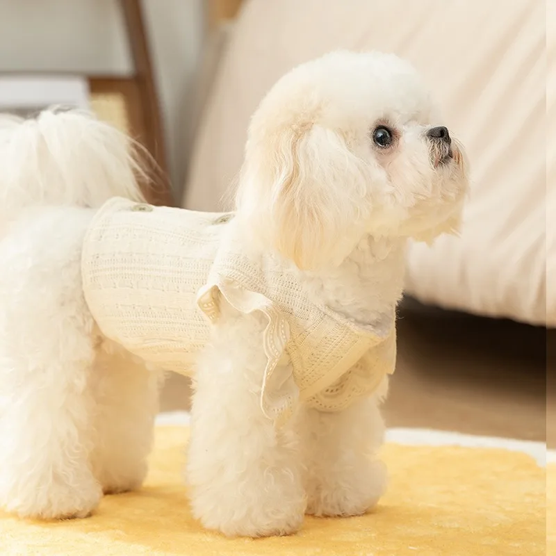 Autumn and Winter Solid Color Dog Coat Princess Wind Pet Clothing Puppy Thickened Warm Cardigan Teddy Yorkshire Two Legs Clothes