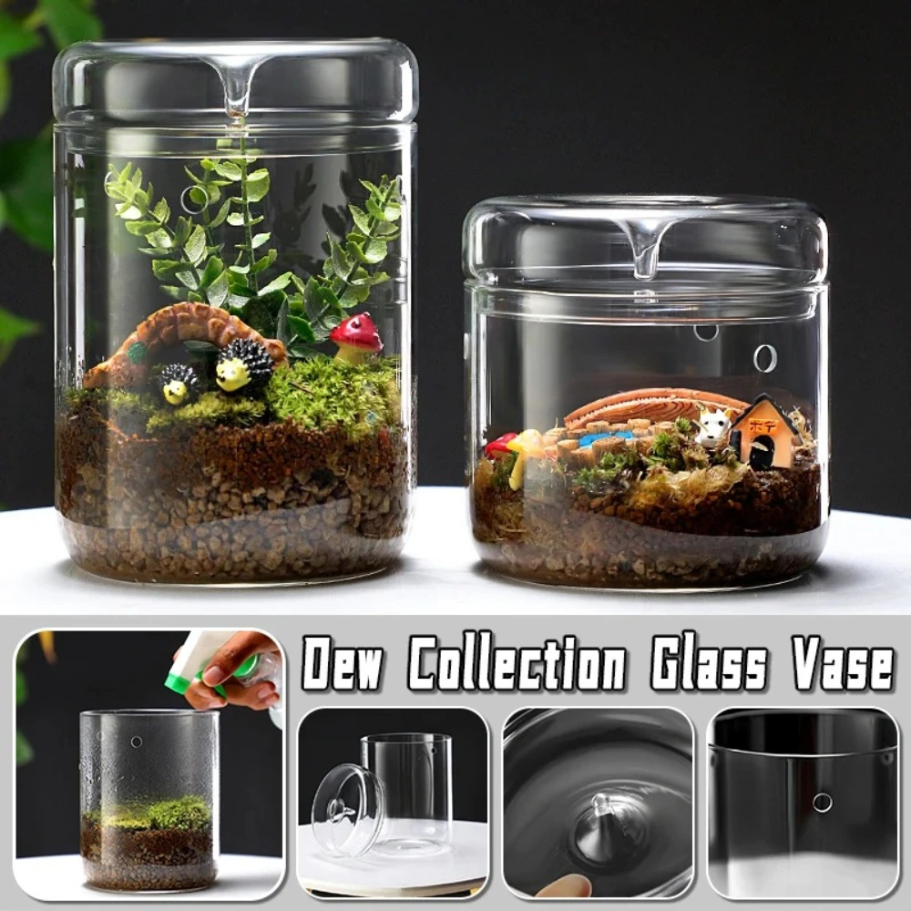 Terrarium Glass Bottle - Микроландшафтная стеклянная ваза с крышкой для