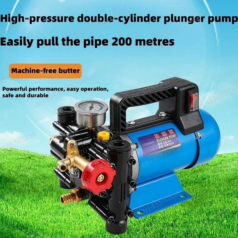 12V/24V/220V Double Cylinder Plunger Pump Agricultural High Pressure Pump for Irrigation Watering Car Washing Dosing Spraying
