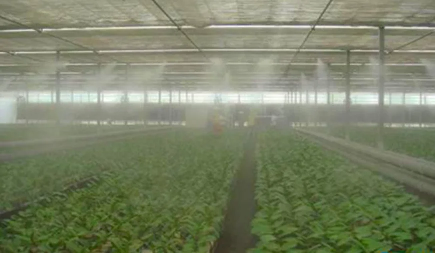 Alta Pressão Névoa Sistema De Refrigeração, Controlador De Umidade, Ótimo Para Cogumelo Umidade Sensor Incluído