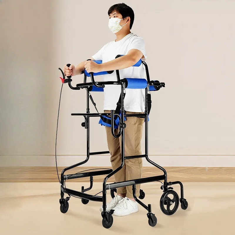 Elderly Walkers Adu…