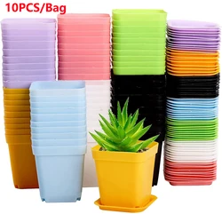 10PCS Gardening Mini Small Square Pot Flower Pot Succulent Pot Little Black Square Plastic Pot Seedling Tray Containe