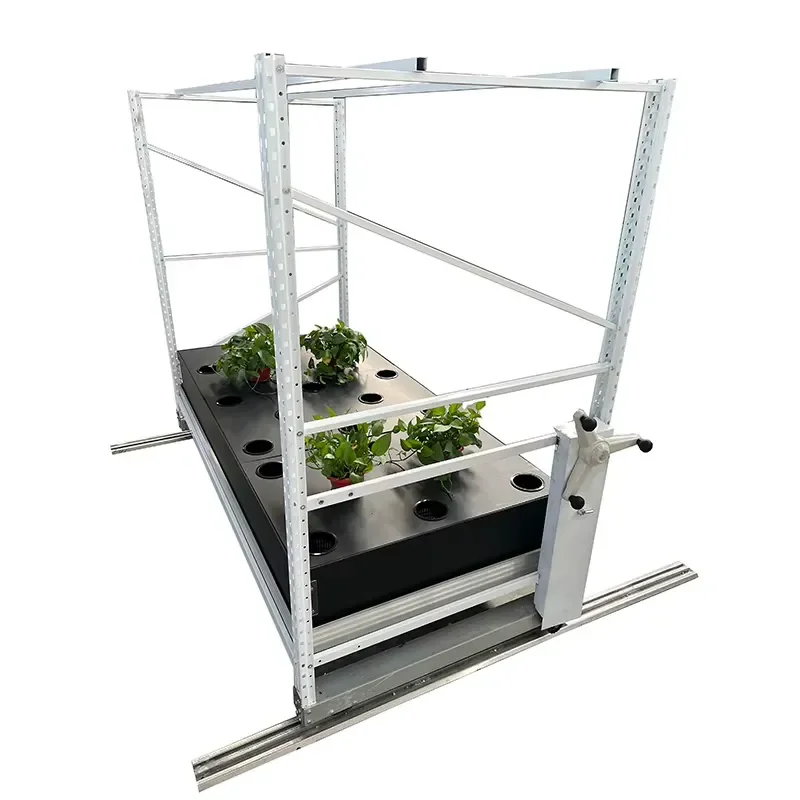 Two-Layer Aeroponics Rack System for Growing Flower