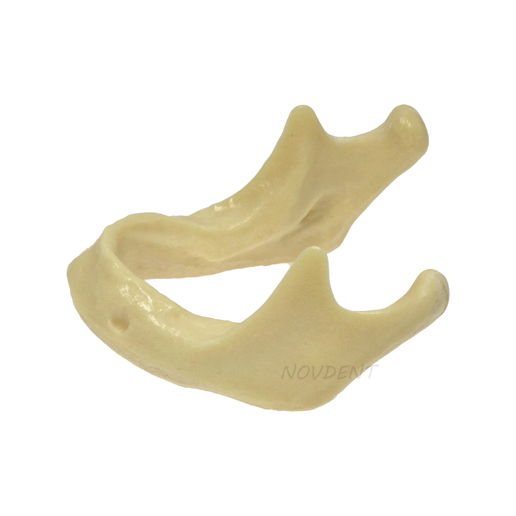 Dental Mandible Jaw Model For Basic Drilling Implant Insertion Practice M2022