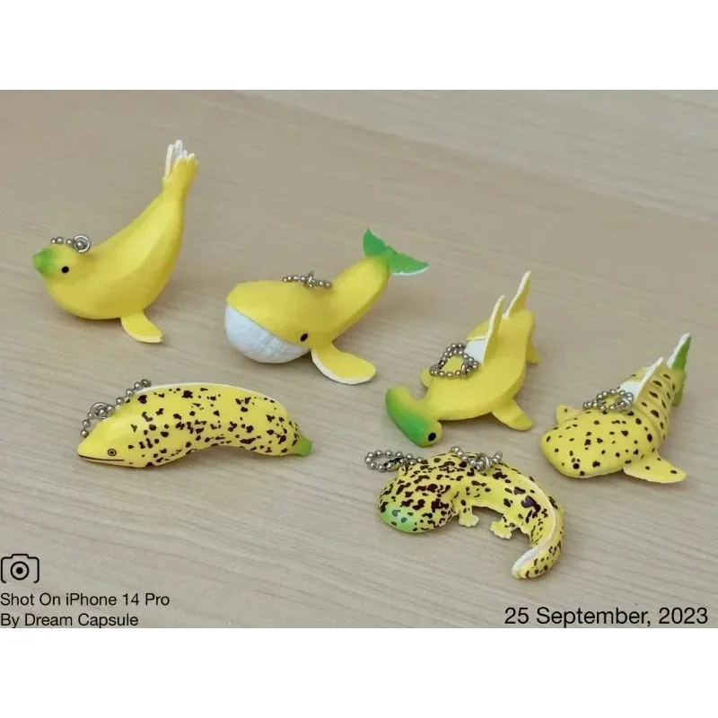 Qualia Original Kawaii Gashapon Figure Anime Blue Whale Shark Banana Animal Figurine Capsule Toys Keychain Gift