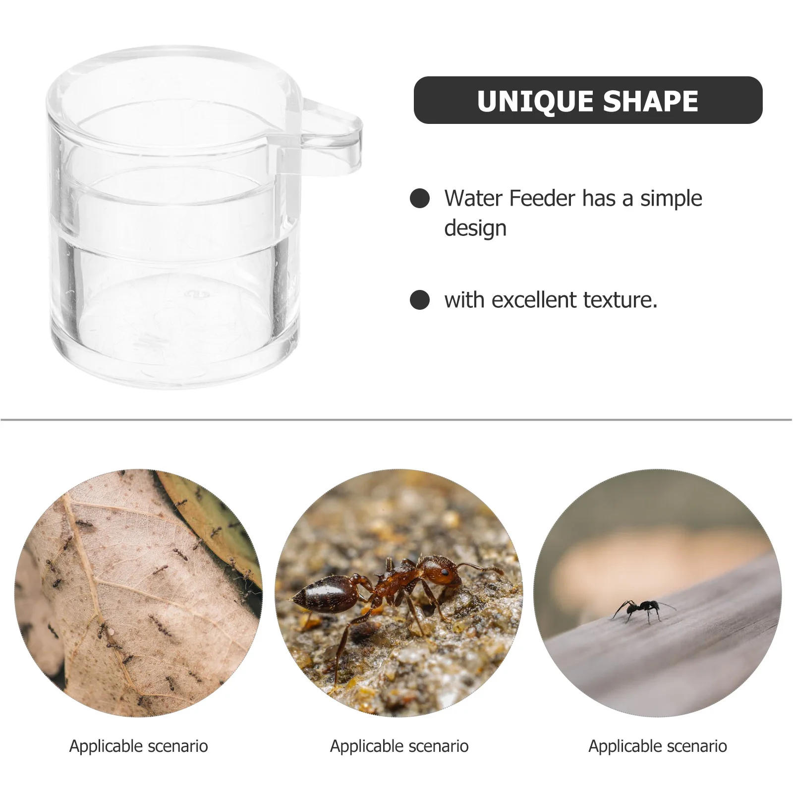 

Water Feeding Supply Water Feeder Transparent Acrylic For Habitat Small Insect Feeding Bowl Tool Accessory