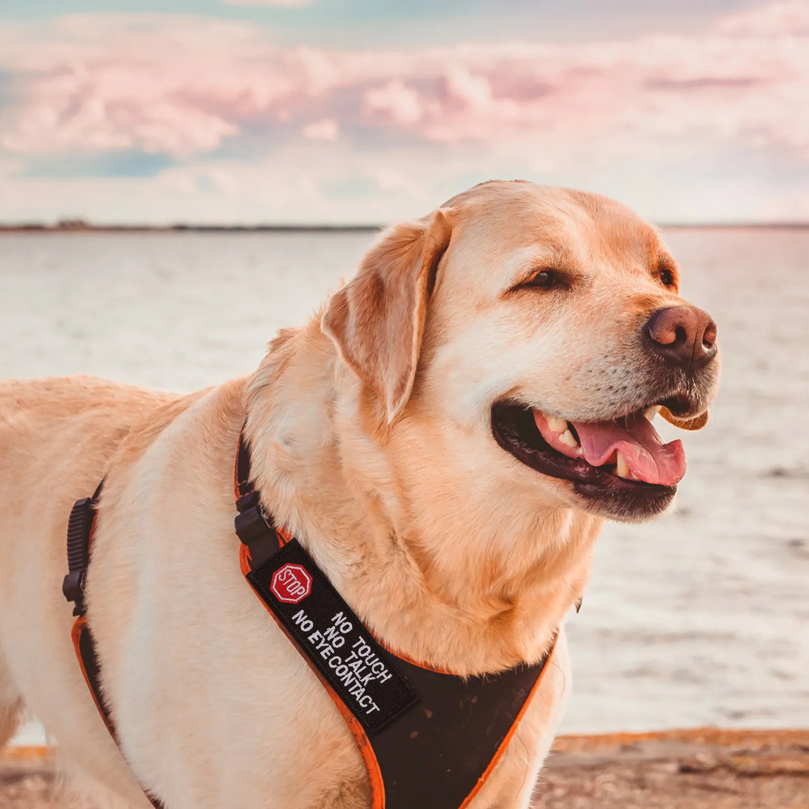 

2Pcs Embroidered Service Dog Patches Dog Harness Labels No Pet No Eye Contact Identifiers Do Not Pet Patch