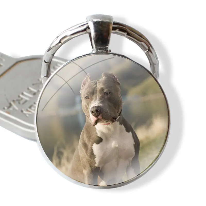 Pit Bull Lovely Pet Dog Pitbull Keychain Handmade Glass Cabochon Key Ring Holder Pendant Key Chains