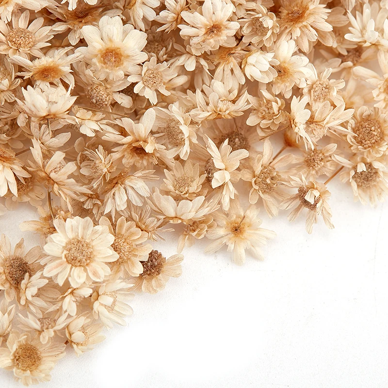 200Pcs Dried Flowers For DIY Epoxy Resin Candle Making Jewellery Glass Filler