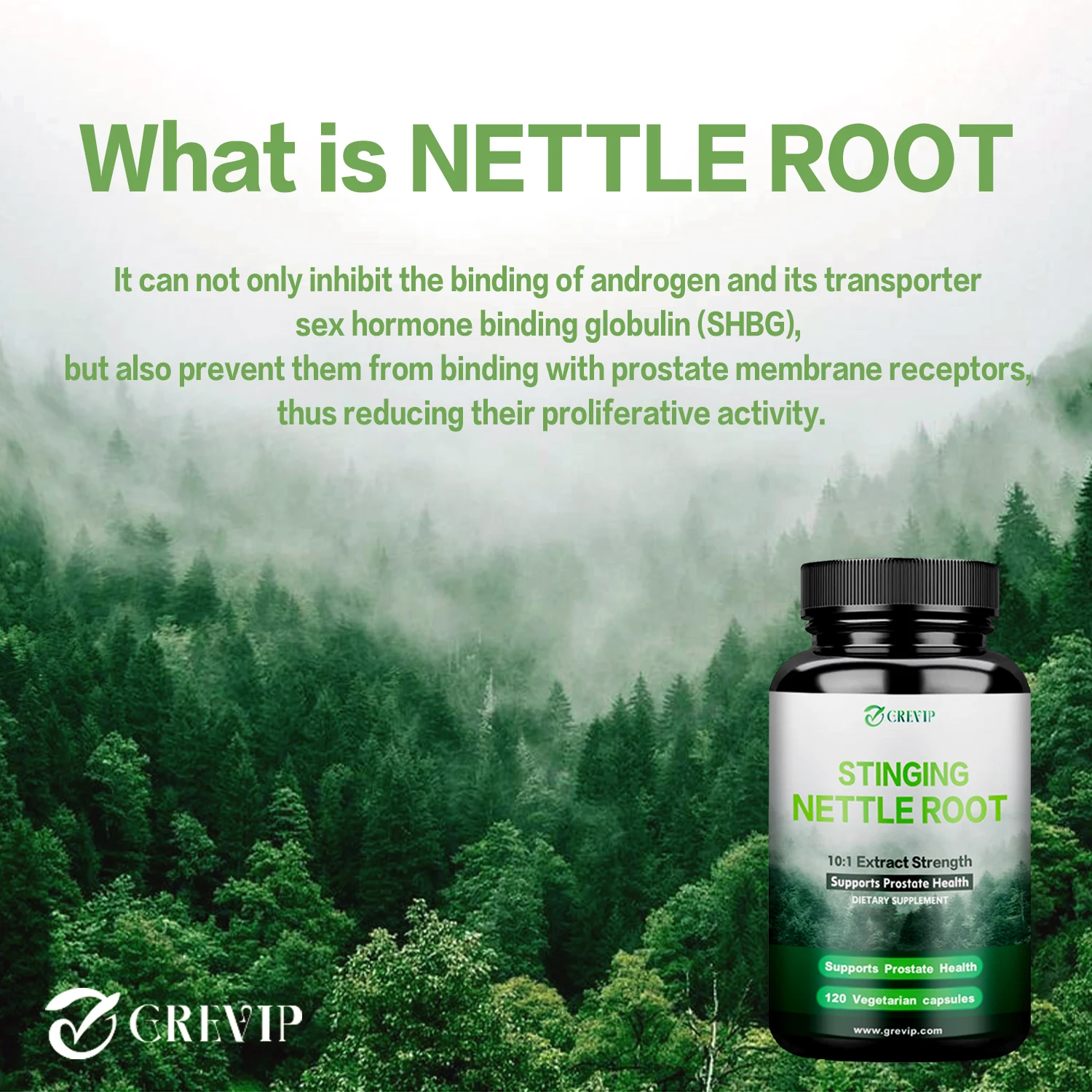 Stinging Nettle Root Extract - Promotes Prostate and Urinary Tract Health, Promotes Hair Growth, Reduces Urinary Frequency