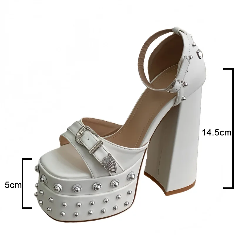 Personality Punk Rivet Cover Heel Platform Sandals Women Summer Buckle Peep Toe Thick High Heels Pumps Woman Ankle Strap Shoes view 6