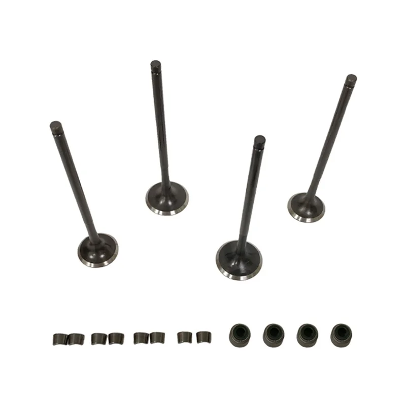 Intake& Exhaust Valve Assembly For Zongshen NC250 ZS177MM 250Cc Dirt Bike Models Including Kayo T6 BSE RX3 ZS250GY-3