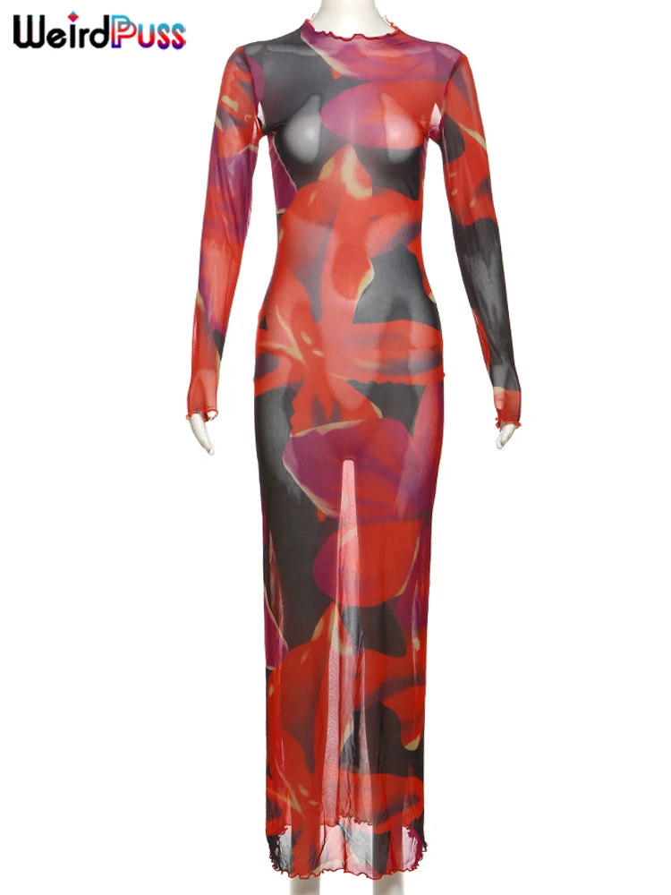 Weird Puss Colorful Print Dress Women Velvet o-Neck Skinny Full Sleeve Lace Hem Autumn Trend Stretch Casual Basic Long Bodycon
