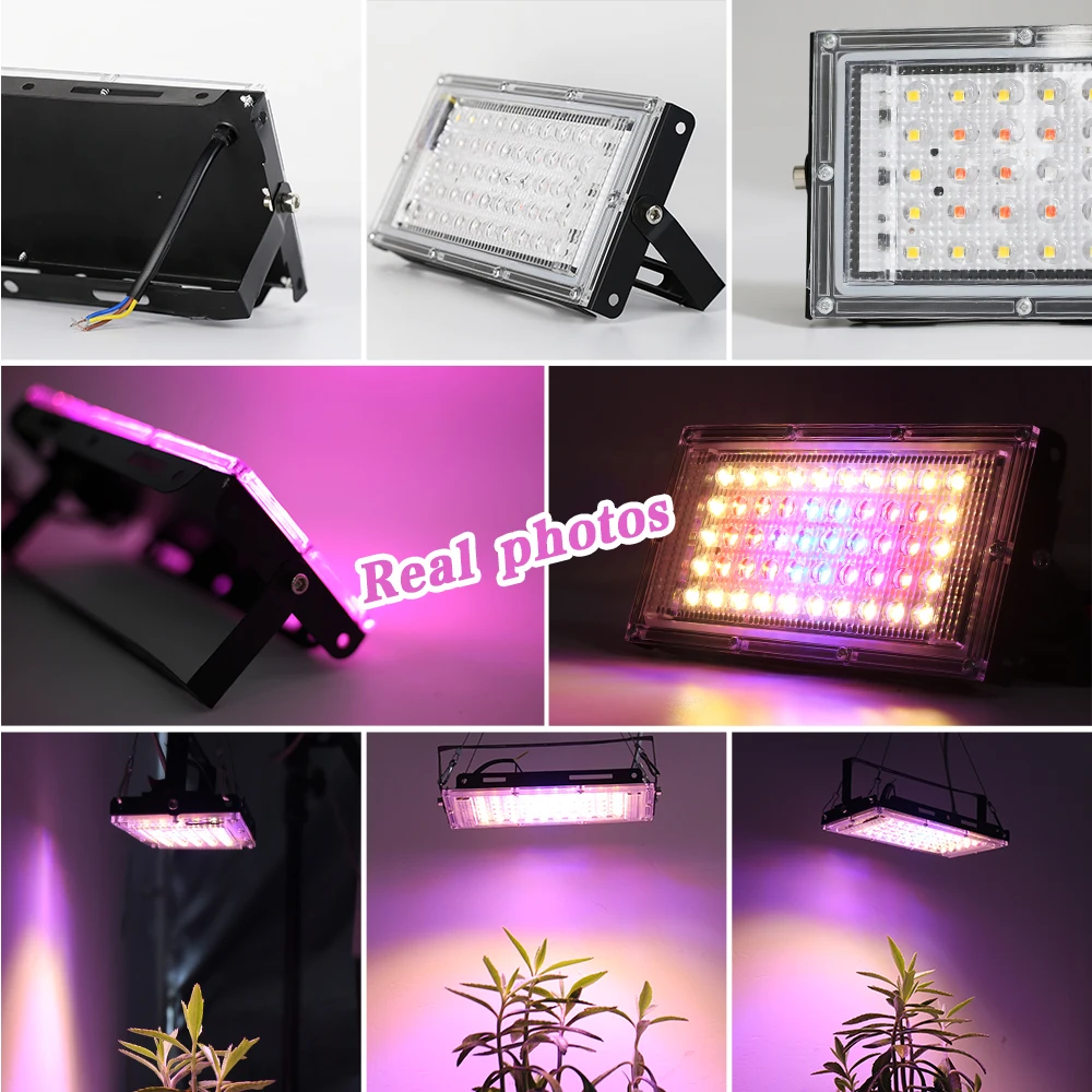 LED Grow Light Full Spectrum Hydroponic Growing System 50W Led Plant Light Waterproof IP65 Seed Flower Greenhouse Planting Light