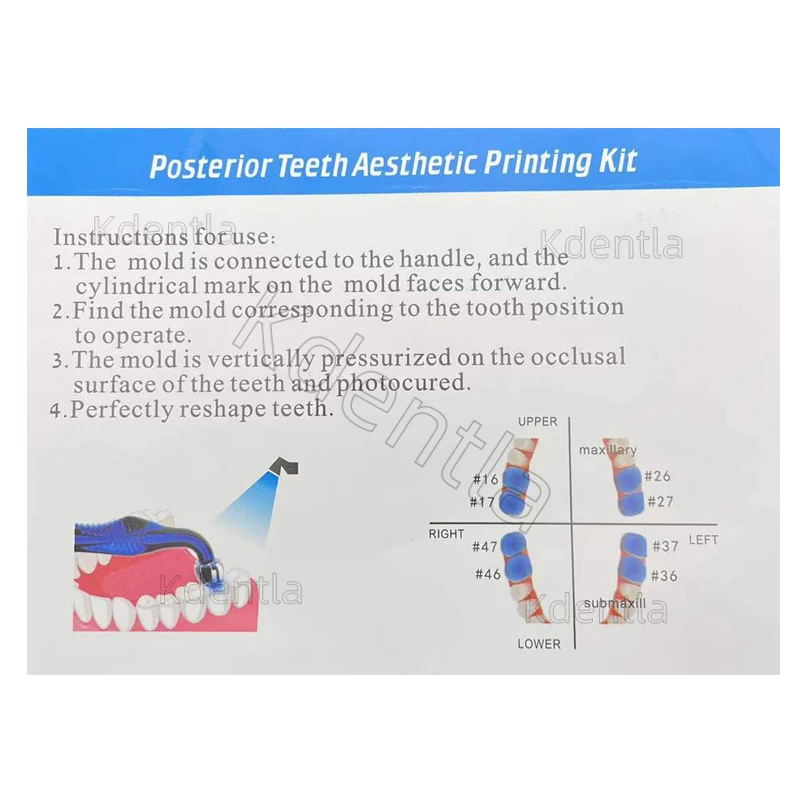 2sets Dental Orthodontic Posterior Teeth Aesthetic Printing Kit Printing Restoration Teeth Quick Built Dentistry tools Material