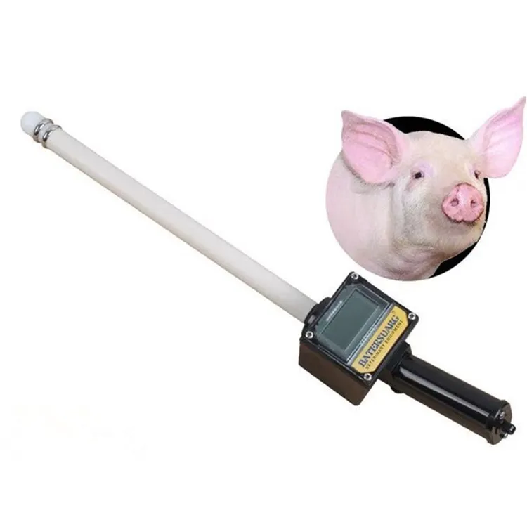 

Automatic Pregnancy Detector For Pig Farm Equipment Tools