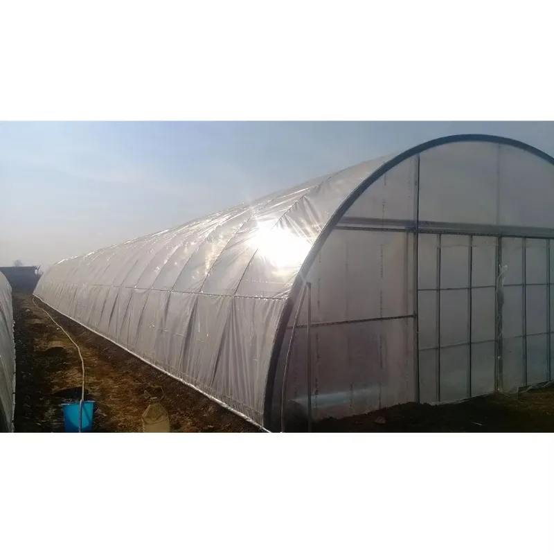 الدفيئة الزراعية على نطاق واسع البيت الساخن منزل دافئ تزايد خيمة مزرعة نفق البيت الأخضر