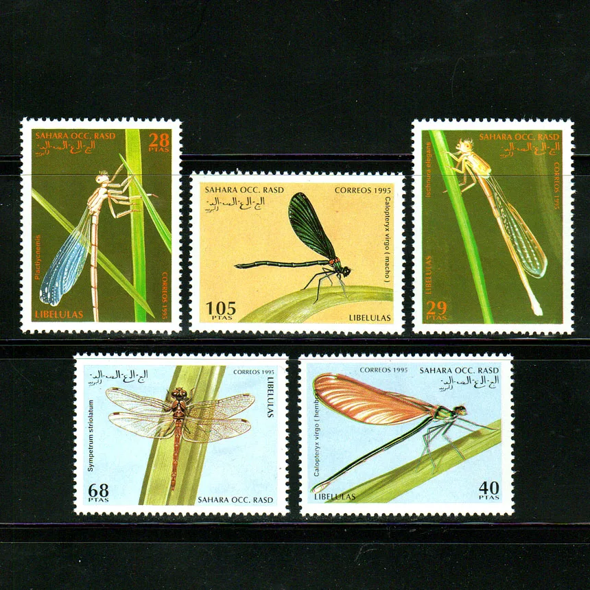 Sahara-Postmarken, Postmarkenjahr 1995, Insektenmotiv, Libelle, komplettes Set, 5 neue, ungebrauchte (MNH) Sammelpostmarken, Material für Scrapbooking. – Detail 1