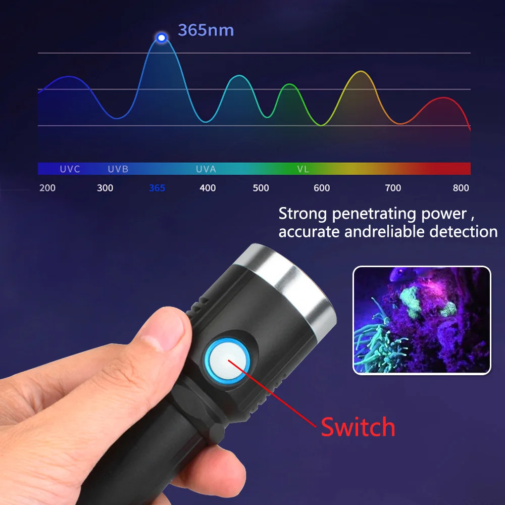 20W 365nm UV Flashlight Type-C Rechargeable Ultraviolet Blacklight Flashlight Pet Urine Detector for Resin Curing, Dry Stain