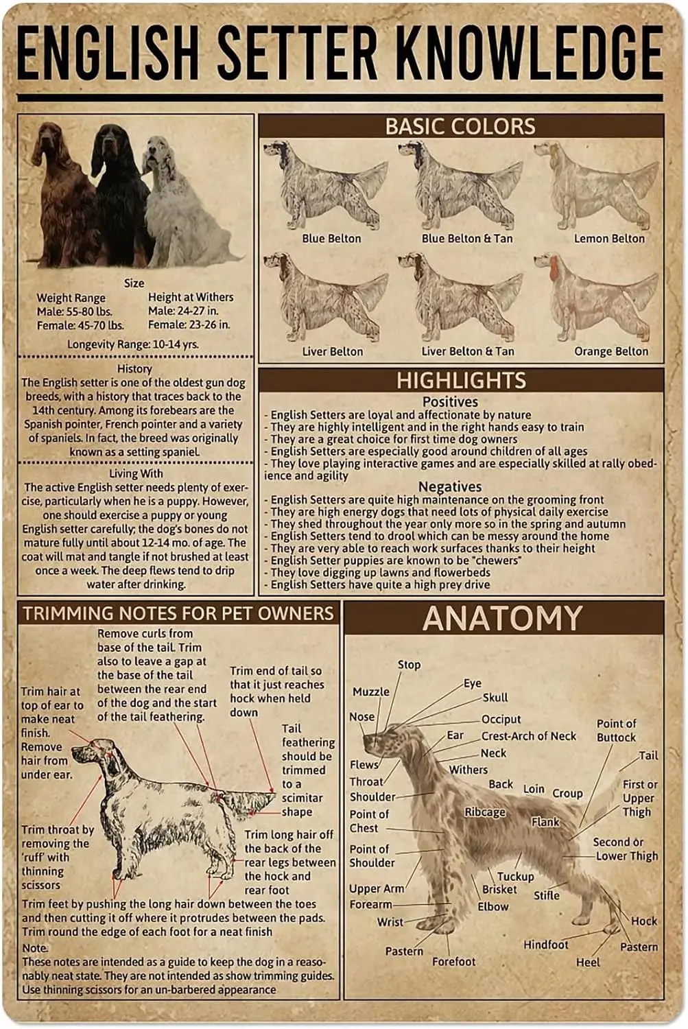 Plaque en métal Dog Knowledge : Guide des couleurs de l'anatomie du Setter anglais, affiche en aluminium pour ferme, école, éducation, maison, cuisine, club, signalisation de garage