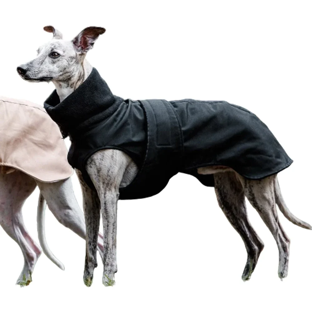 

Customized Made Greyhound Coat Best Quality In Reasonable Price Dog Winter Coat Jackets BY Fugenic Industries