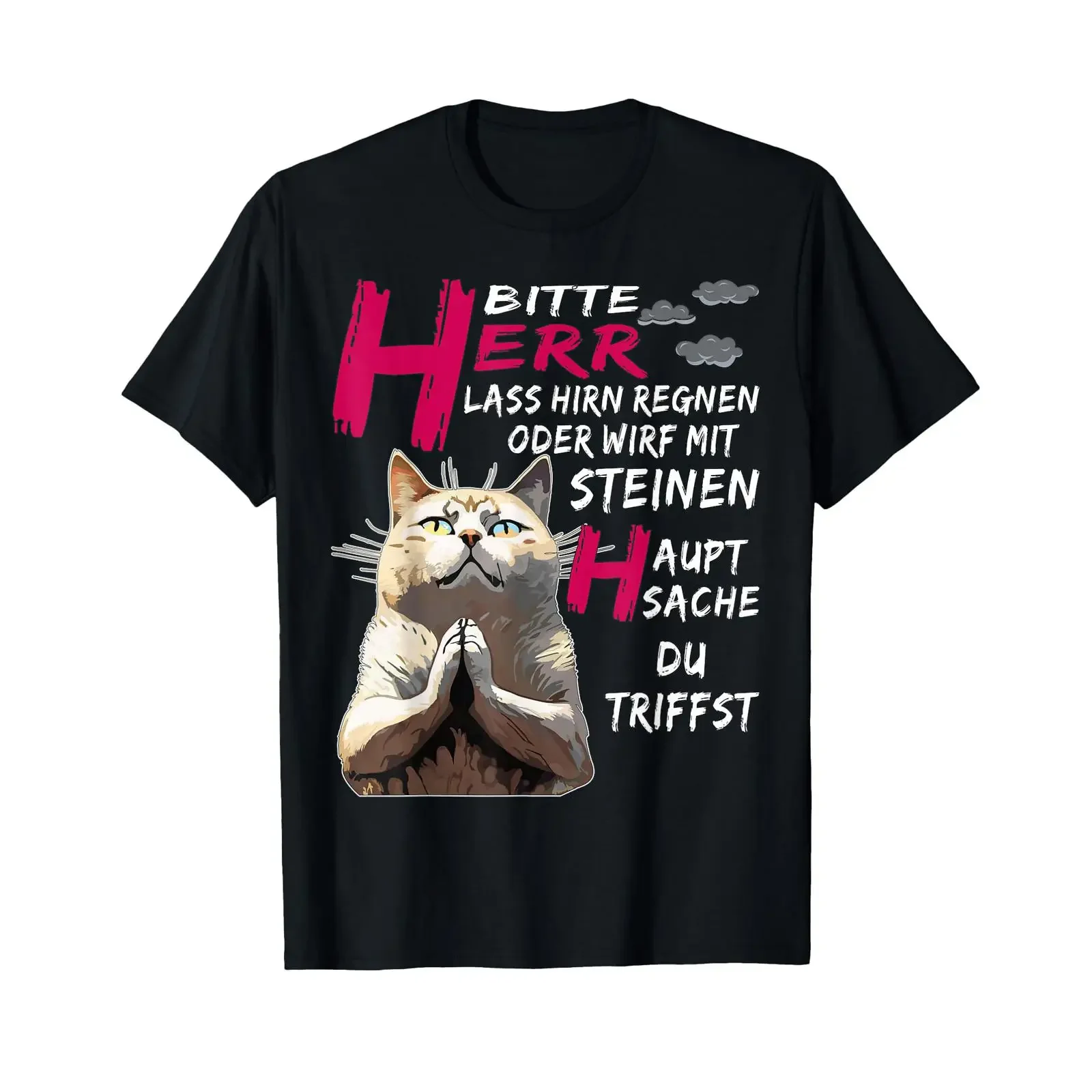 Sponsored Ad Men's T Shirt with German Text quot Herrn Regen oder Steine Funny Cat Sayings Language black vintage Washed