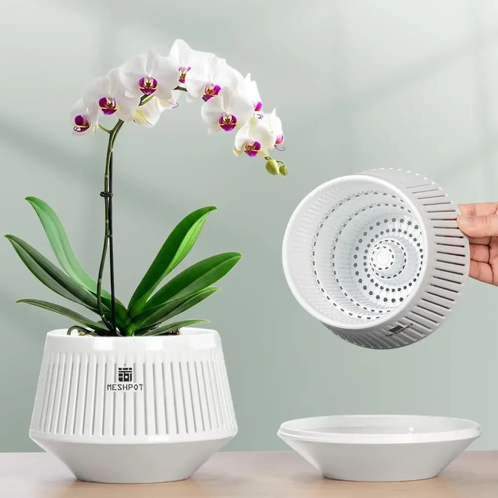 #42 New Plant Pots Arrivals