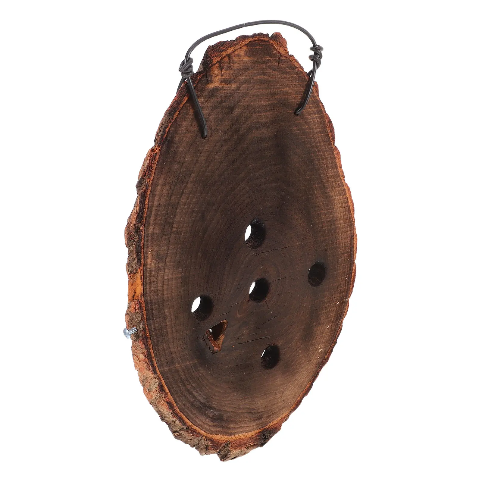 Carbonized Natural Wood Fern Mounting Board Wall Planter for Orchids Ferns Rustic Vertical Planter Air Purifying