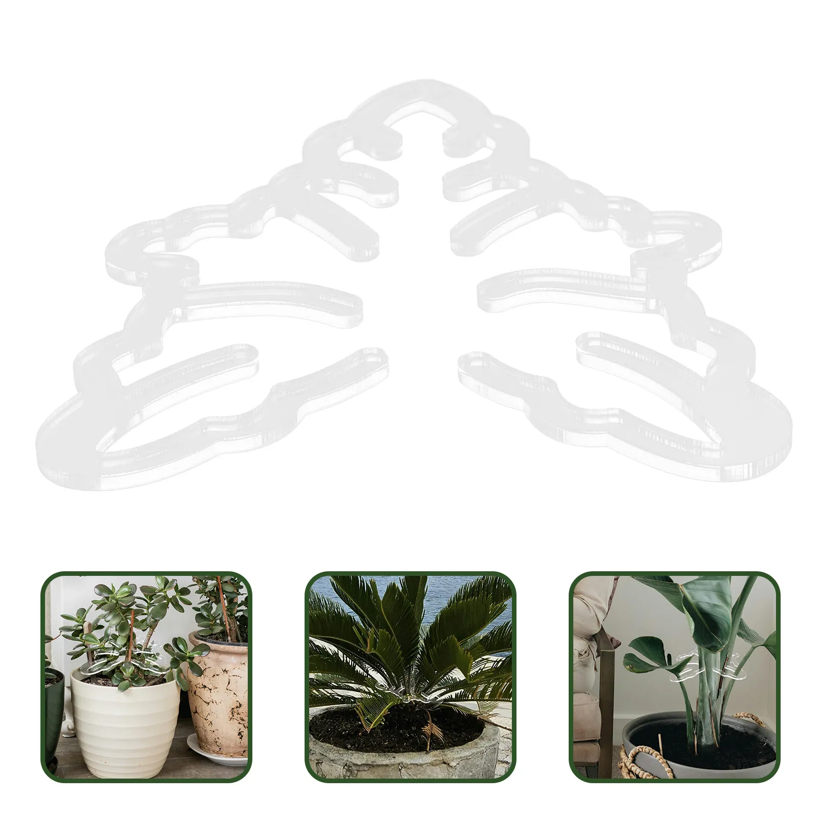 Plant Garden Support Climbing Trellis Plants Indoor Halloween Christmas New Year Flower Stem Holder Flower Stem Support Supports