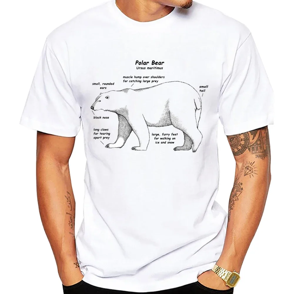 

Polar Bear Anatomy Animal Art T-Shirt Unisex Men Short Sleeve Hip Hop Beach Style Boy Casual White Tees Funny Animals Lover