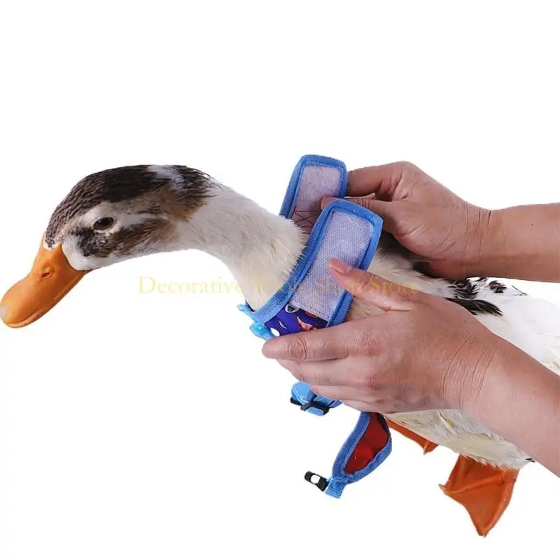 QX2E Duck Harness Leash لسترة سلامة الحيوانات الأليفة للمشي مستلزمات تحكم سهلة #5