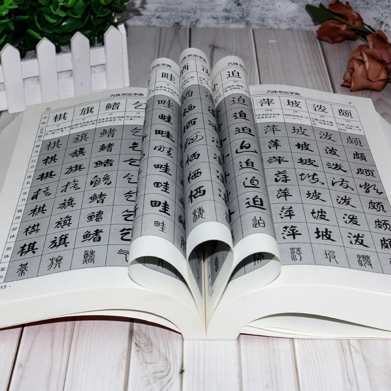 Nine Kinds Calligraphy Fonts Practical Dictionary Chinese Calligraphy Techniques Lovers Reference Book Calligraphy Copybook Book