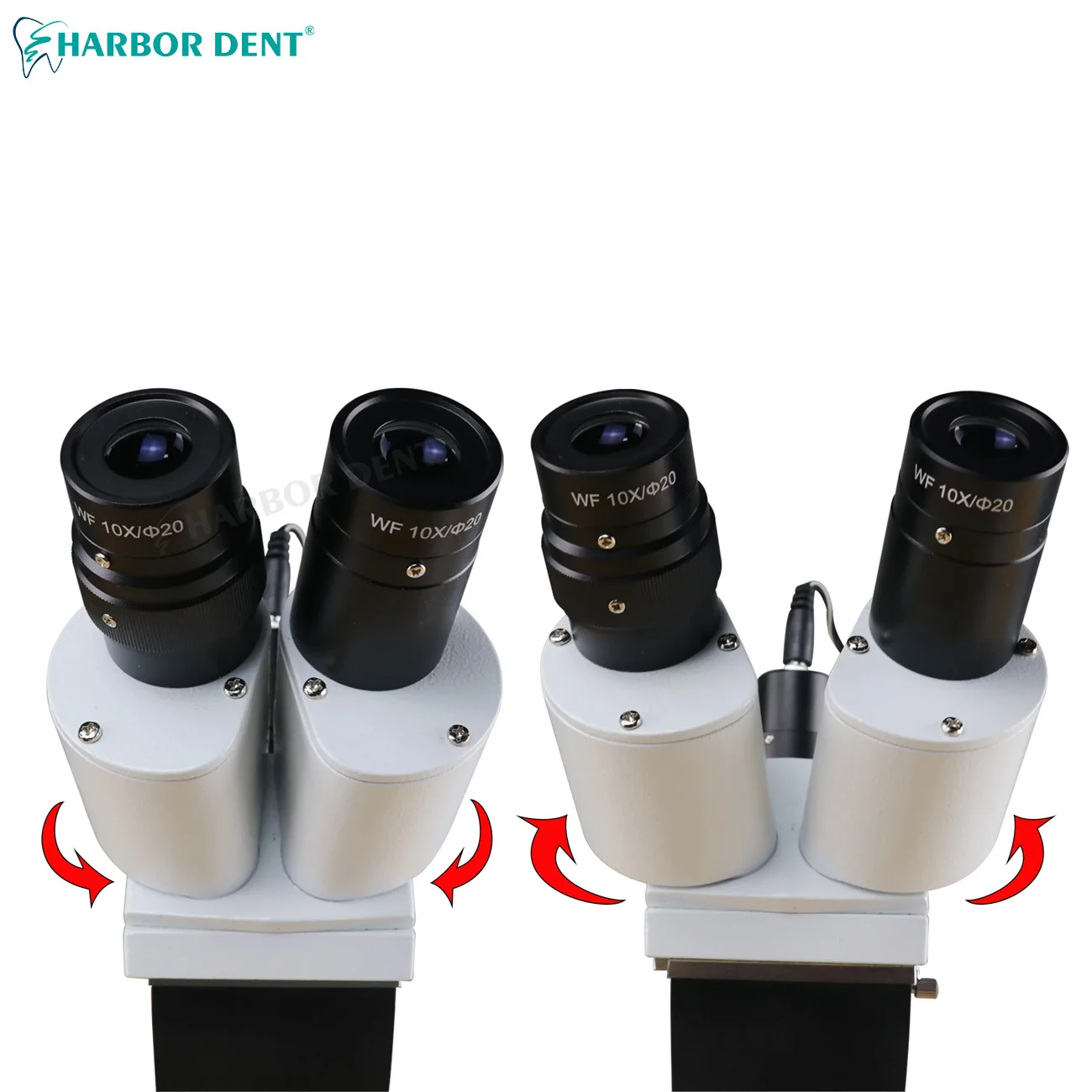 مشبك مجهر مجهر ثنائي العين محمول على الطاولة مجهر قناة الجذر Dentsitry معدات مختبر التخصيص