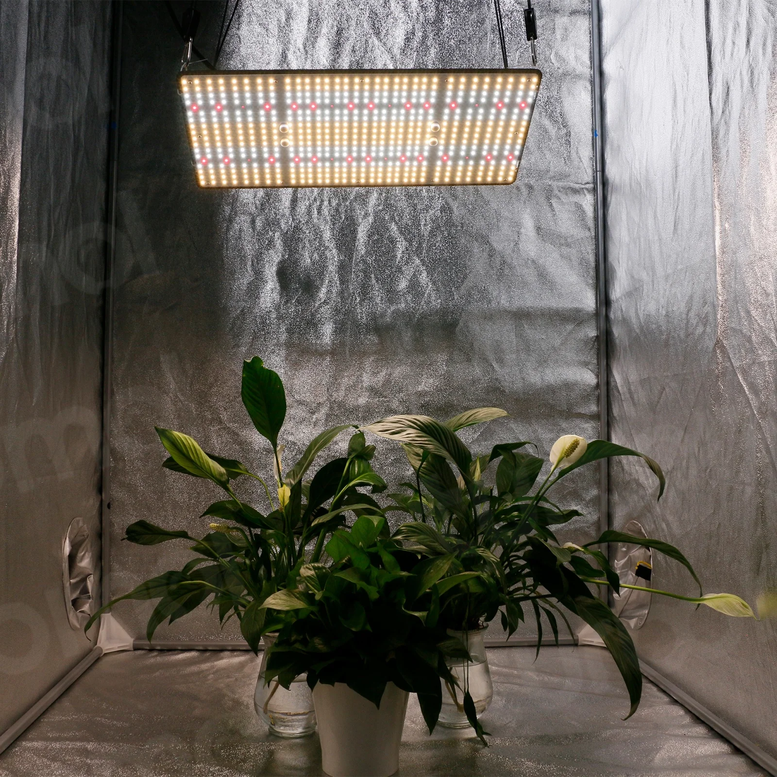 

Turbomol 100w 200w 281b 660nm Uv Ir 730nm Board Led Grow Light for Tent Indoor Garden