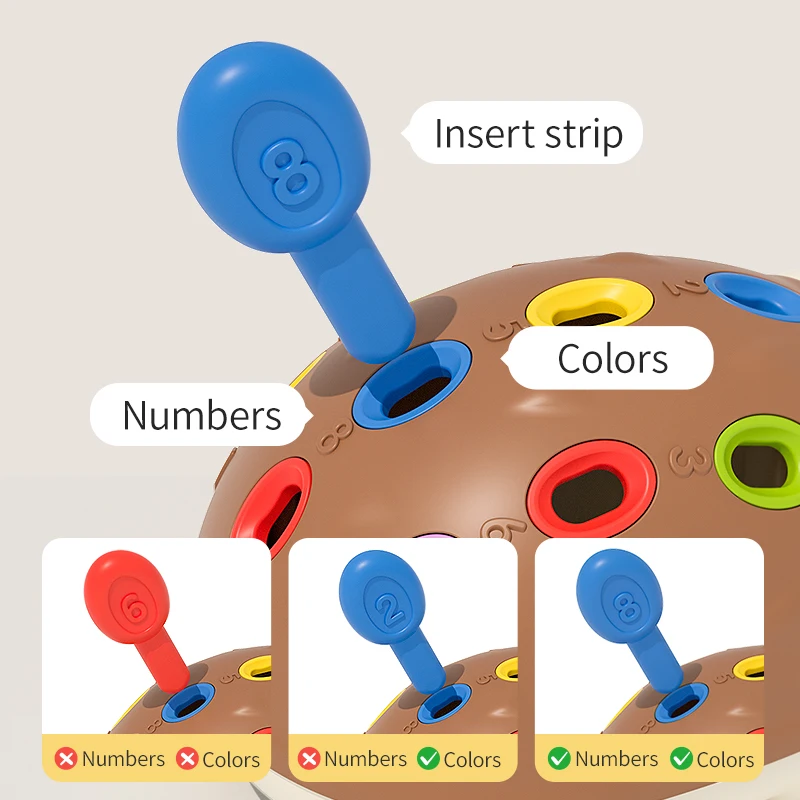 Montessori giocattoli per bambini formazione del riccio giocattoli educativi concentrati motore giocattoli educativi sensoriali fini regali di compleanno per bambini