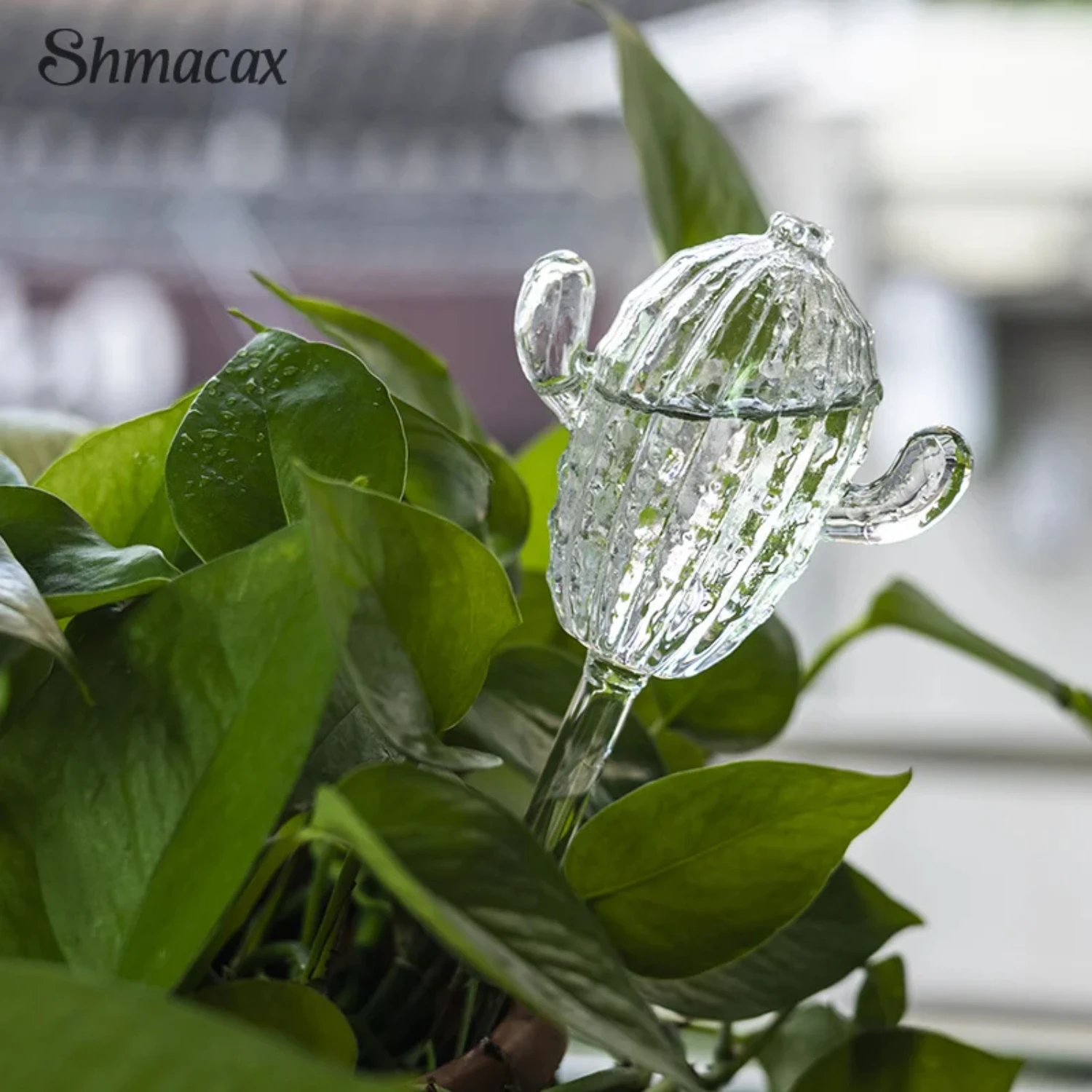 Cute Glass Plant Water Feeder with Cartoon Design for Automatic Self-Watering - Auto Plants Drip Irrigation System and Watering 