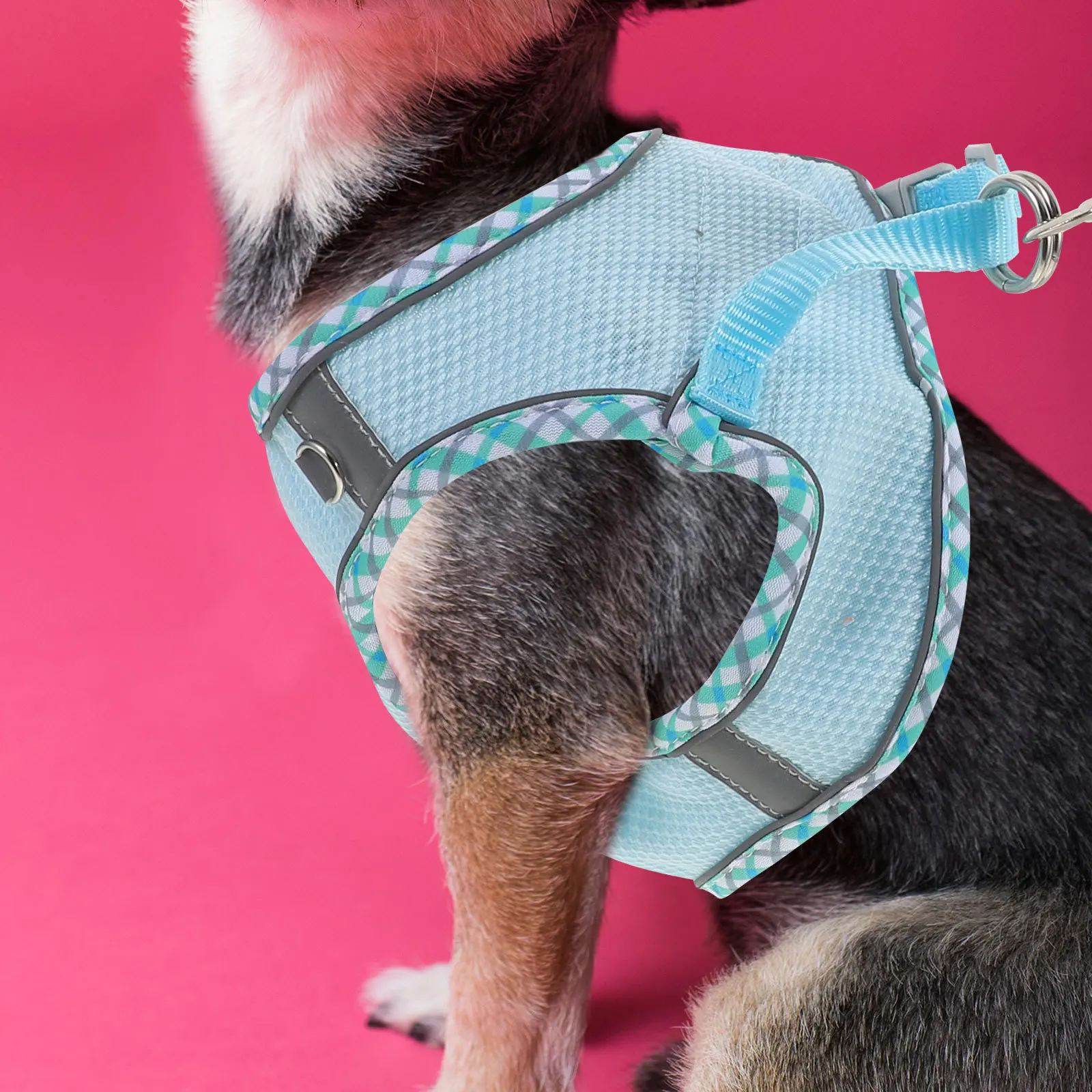 

1Set Portable Dog Harness Easy to Wear Lightweight and Safe for Most Outdoor Activities Dog Walking Vest Harness