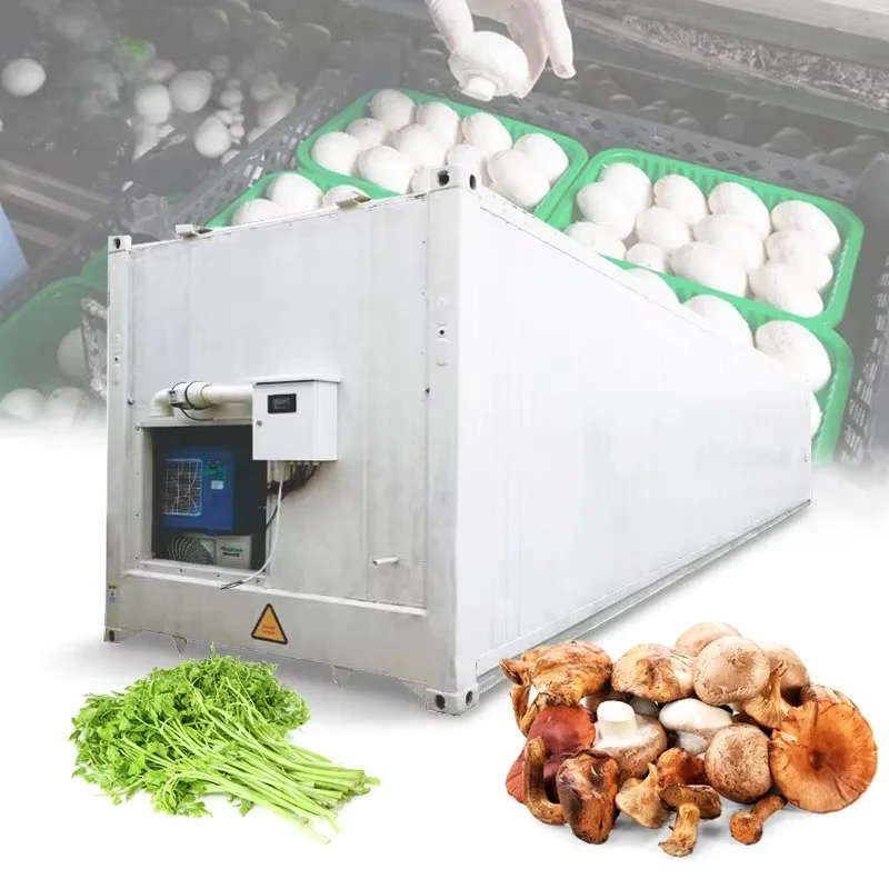 Hydroponic Farming Agriculture - カスタマイズされた20フィート40フィートコンテナ水耕栽培システム農業用温室（商業用きのこ栽培植栽用）