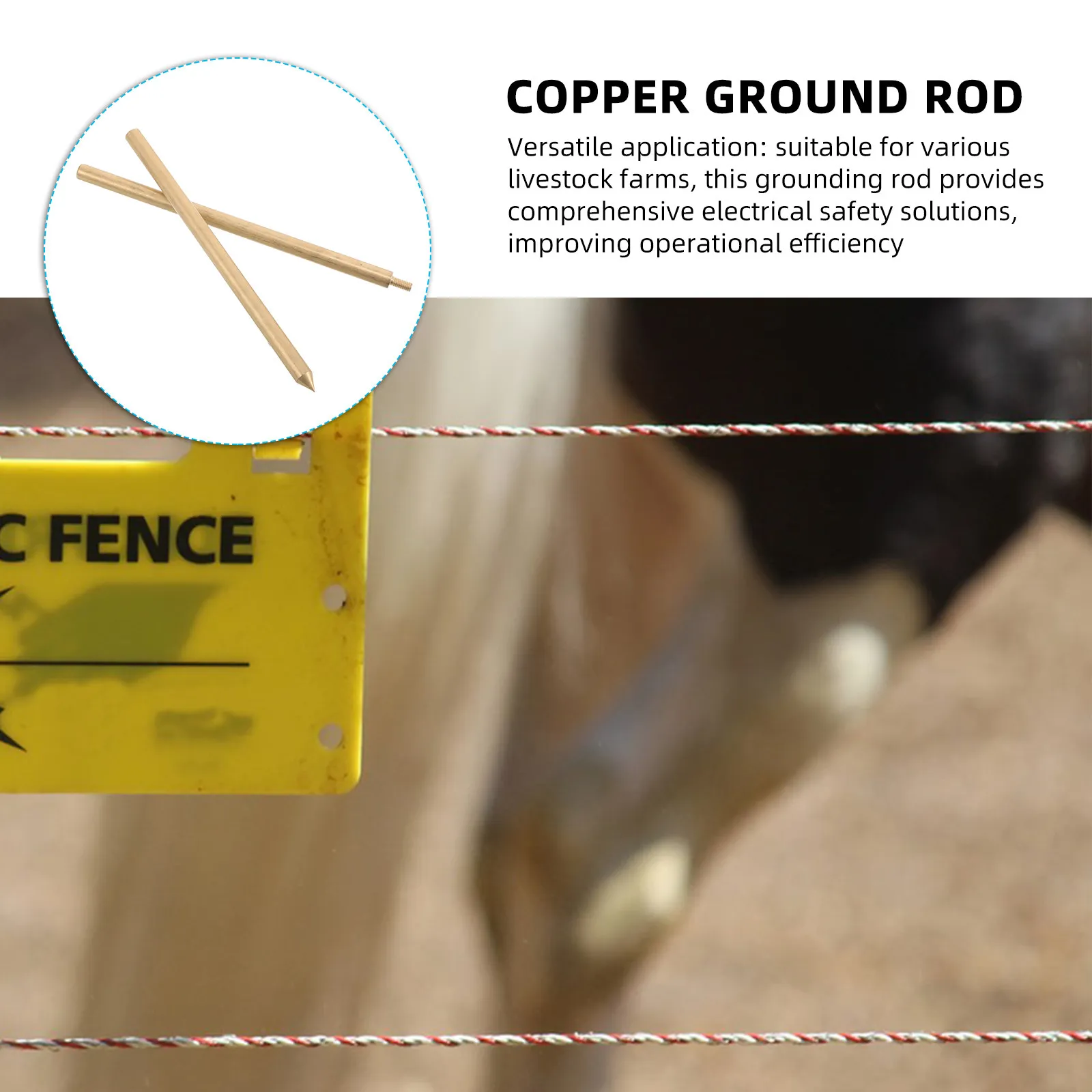 

Grounding Rod 8mmx300mm Brass Galvanized Electric Fence Earthing Pin for Livestock Protection Stable Conductivity