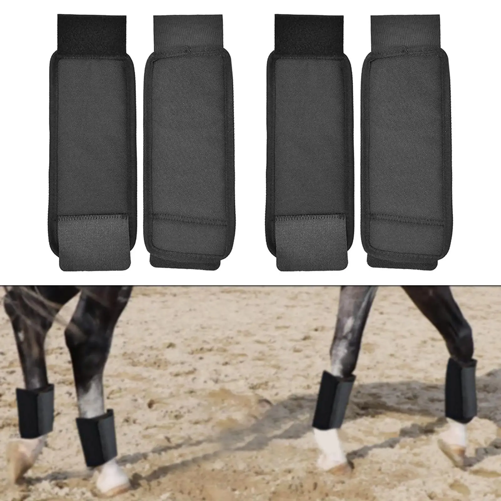 4x Hock Shields for Horses for Training Equestrian Sports Outdoor Activities