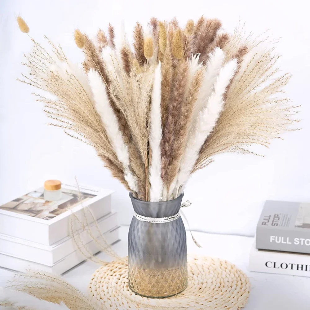 75 Pack Dried Reeds Natural Plants Small Pampas Reeds Bouquet Dried Flowers for Wedding Decor and Home Living Room Arrangement