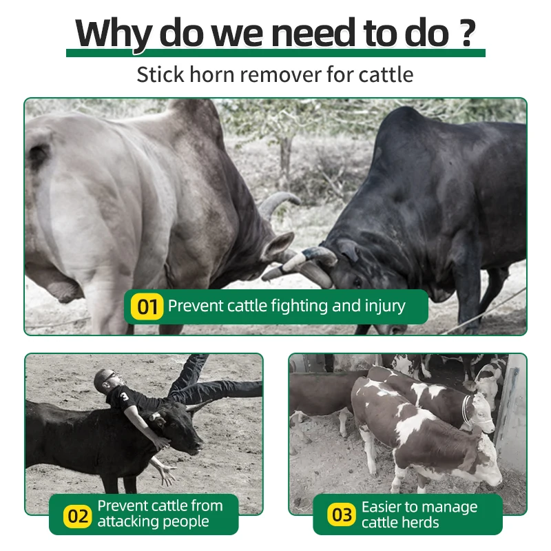 Electric Remove Cattle Horn Device Bloodless Dehorner for Cow Calves Lamb Removing Angle Heating Copper Head Farm Animal Equip