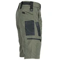 armygreen